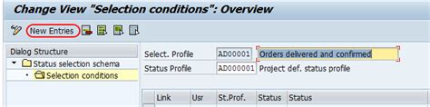 Define Selection Profiles In Sap Free Sap Online Training Tutorial