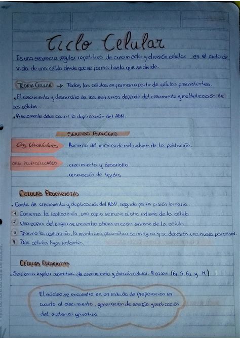 SOLUTION Apuntes Ciclo Celular Mitosis Y Meiosis Studypool