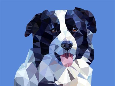 Abstract Border Collie Dog Portrait In Low Poly Vector Design 210848 Vector Art at Vecteezy