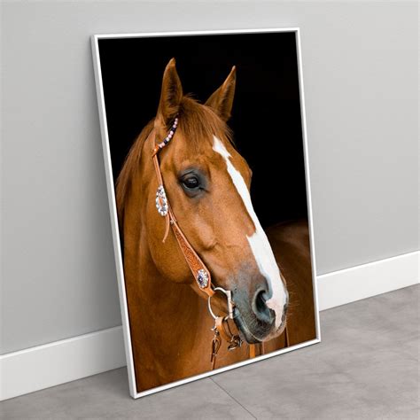 Quadro De Cavalo