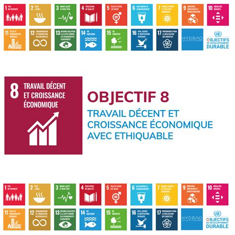 Objectif 8 Travail Décent Et Croissance économique Avec Ethiquable