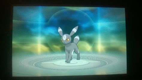 Shiny eevee update, he's an umbreon now! : r/ShinyPokemon