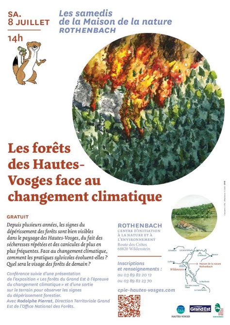 Les forêts des Hautes Vosges face au changement climatique sam 8 juil