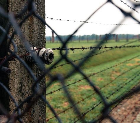 Fragmentos de arame farpado ao redor do campo de concentração de