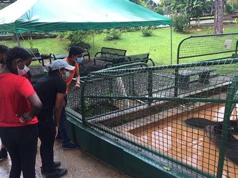 T For Life Makes Visits To The National Emperor Valley Zoo T