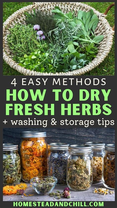 How To Dry Fresh Herbs 4 Easy Ways Storage Tips In 2024 Drying