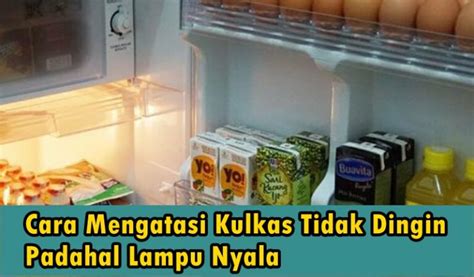 Cara Mengatasi Kulkas Tidak Dingin Padahal Lampu Nyala Alatelektronik Id