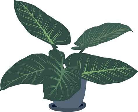 Potted Plants Hand Drawing Style 10794141 PNG