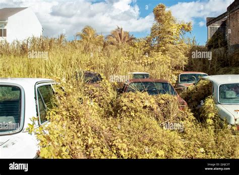 Infrared Image Scene Of Abandoned Vehicle In The Bushes Stock Photo Alamy