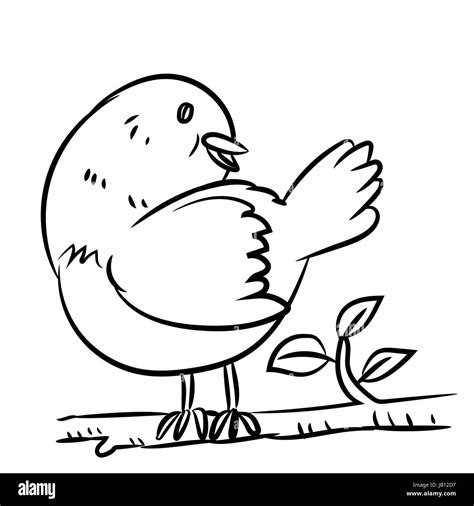 Line Drawing Cartoon A Bird On Branch Of Tree In Black And White