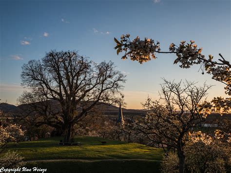 Burgberg Stapelburg Sonnenuntergang U Heinze Flickr