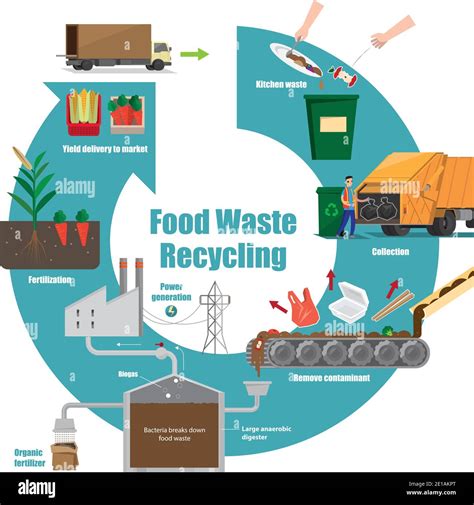 Illustrative Diagram Of Food Waste Recycling Process Stock Vector Image