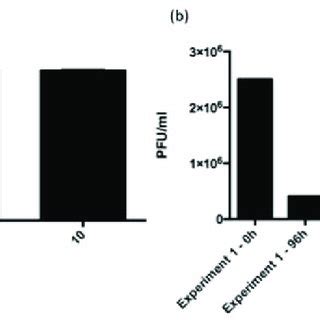 Cytotoxicity Assessment Of Arv Pb A Primary Hepatocytes Were