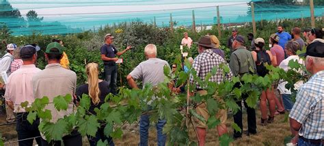 Events Western Agricultural Research Center Montana State University