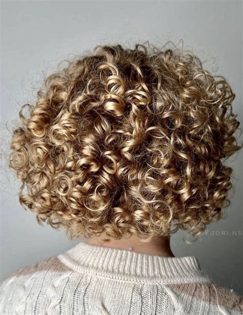 Pin By Kathryn Warner On Hair Style Tips In Short Blonde Curly