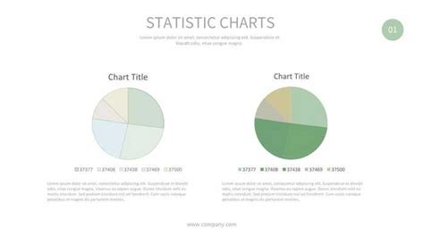 Pie Chart Showing The Percentage Of Different Types Pies PowerPoint ...