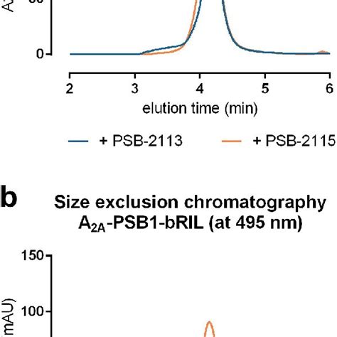 Size Exclusion Chromatography Analysis The Complexes Of A 2a Ar