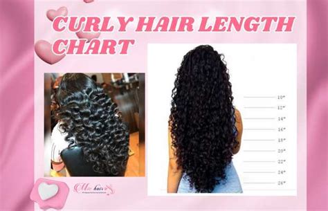 Curly Hair Length Chart