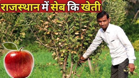 सब क खत अब रजसथन म भ Rajasthan me Apple ki kheti apple ki