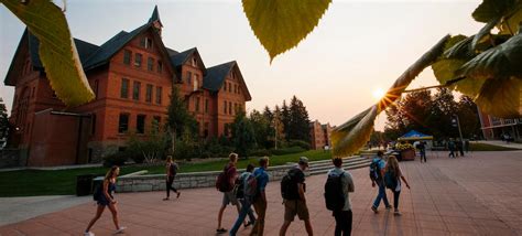 Explore Msu Undergraduate Admissions Montana State University