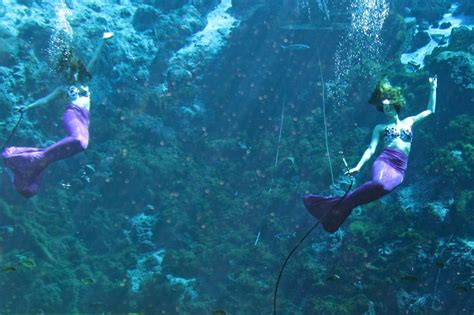 Weeki Wachee Springs State Park Florida Live Mermaid Shows Florida