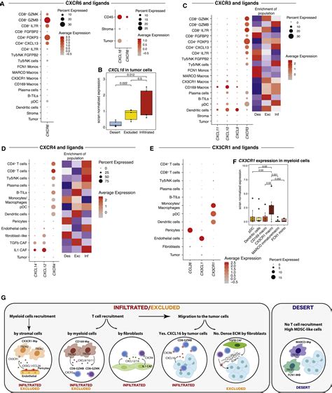 Single Cell Dissection Of Cellular Components And Interactions Shaping