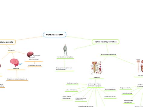 Nerbio Sistema Mind Map