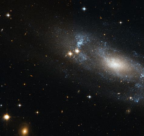 Hubble Views Spiral Galaxy ESO 499-G37