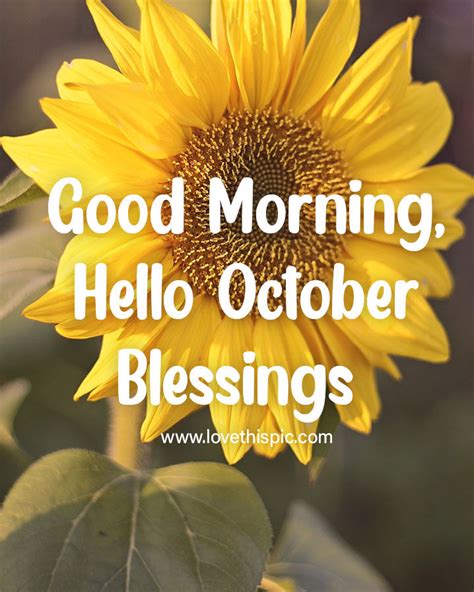 Good Morning Hello October Blessings With Sunflowers Pictures Photos