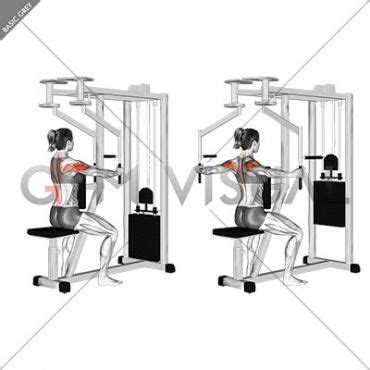 Lever Seated Reverse Fly Female Workout Chart Reverse Seated