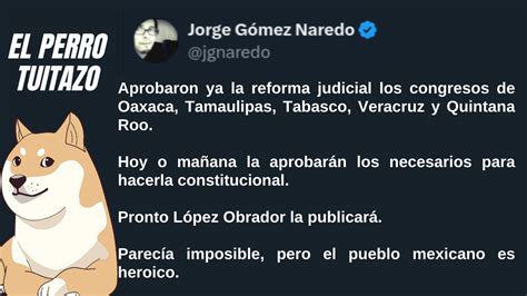 El Perro Tuitazo Los Reporteros Mx