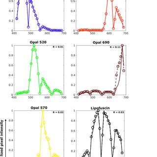 Spectral Unmixing Of Smfish Data From Cultured Mouse Neurons Neuronal