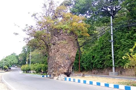 Misteri Batu Di Tengah Jalan Pantai Watu Dodol Benarkah Ada Kaitannya