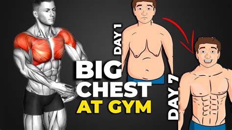 Top 5 Best Big Chest Exercises You Cannot Miss It Youtube