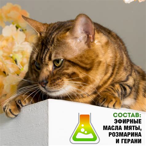 Спрей для кошек и собак Relaxivet успокоительный 50мл купить по цене ...