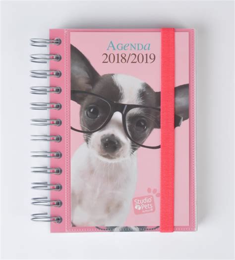 Grupo Erik Editores Studio Pets Agenda Scolaire En Fran Ais Avec