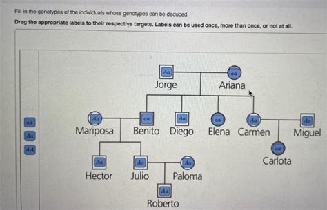 Solved Fill In The Genotypes Of The Individuals Whose Chegg