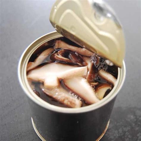 Canned Shiitake Mushroom Pns In Brine China Canned Shiitake Mushroom