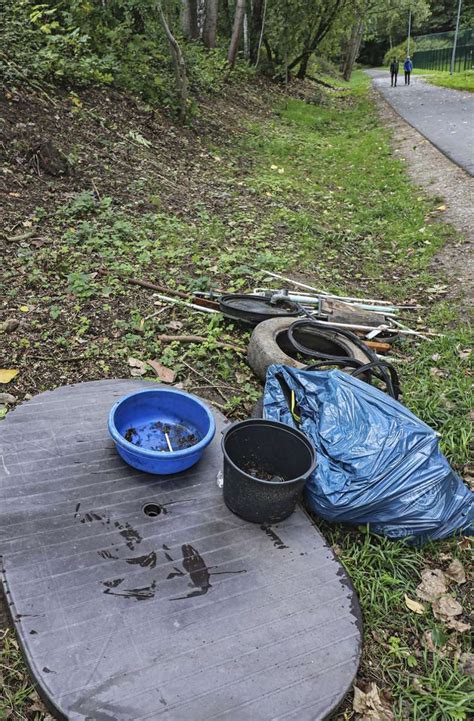 Aufräum Aktion Saubermachen zum Cleanup Day Ilmenau inSüdthüringen