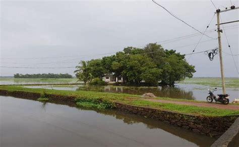 Heavy Rains Wreak Havoc In Kerala Floods Landslides Claim 22 Lives