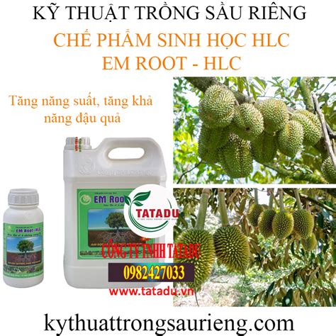 Em Root Hlc Chai 500ml Can 5 LÍt ChẾ PhẨm Sinh HỌc Hlc SiÊu Ra RỄ