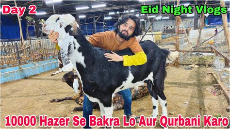 Deonar Bakra Mandi Eid Ul Adha Second Day Night Latest Update Tuesday