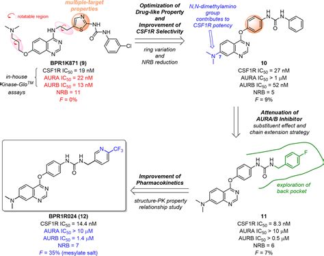 Discovery Of BPR1R024 An Orally Active And Selective CSF1R Inhibitor