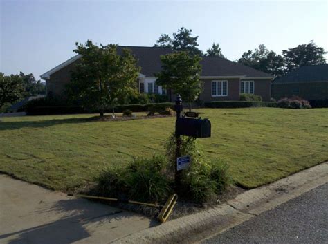 Tifway 419 Bermuda - Atlanta Sod Company
