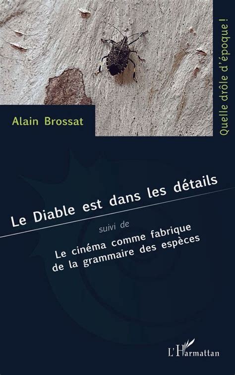 Le Diable Est Dans Les D Tails Ebook Editions L Harmattan