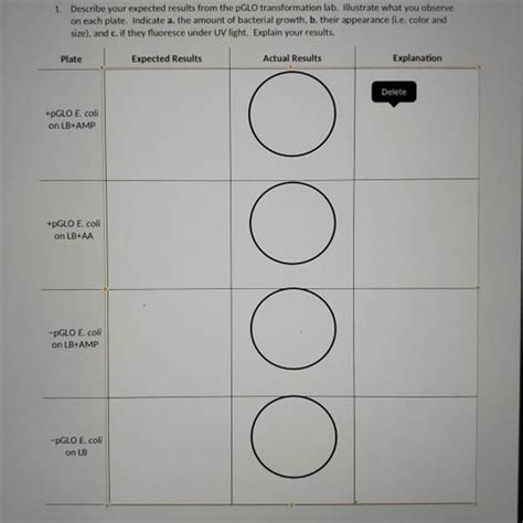 Get Answer 1 Describe Your Expected Results From The PGLO