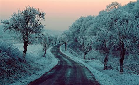 Winter Road - Image Abyss