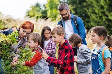 Group of School Children with Teacher on Field Trip in Nature, Learning ...