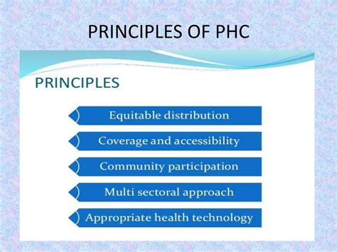 Primary Health Care Ppt Ppt