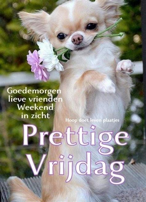 Pin Van Martha Rensink Op Dagen Vd Week Goedemorgen Grappig